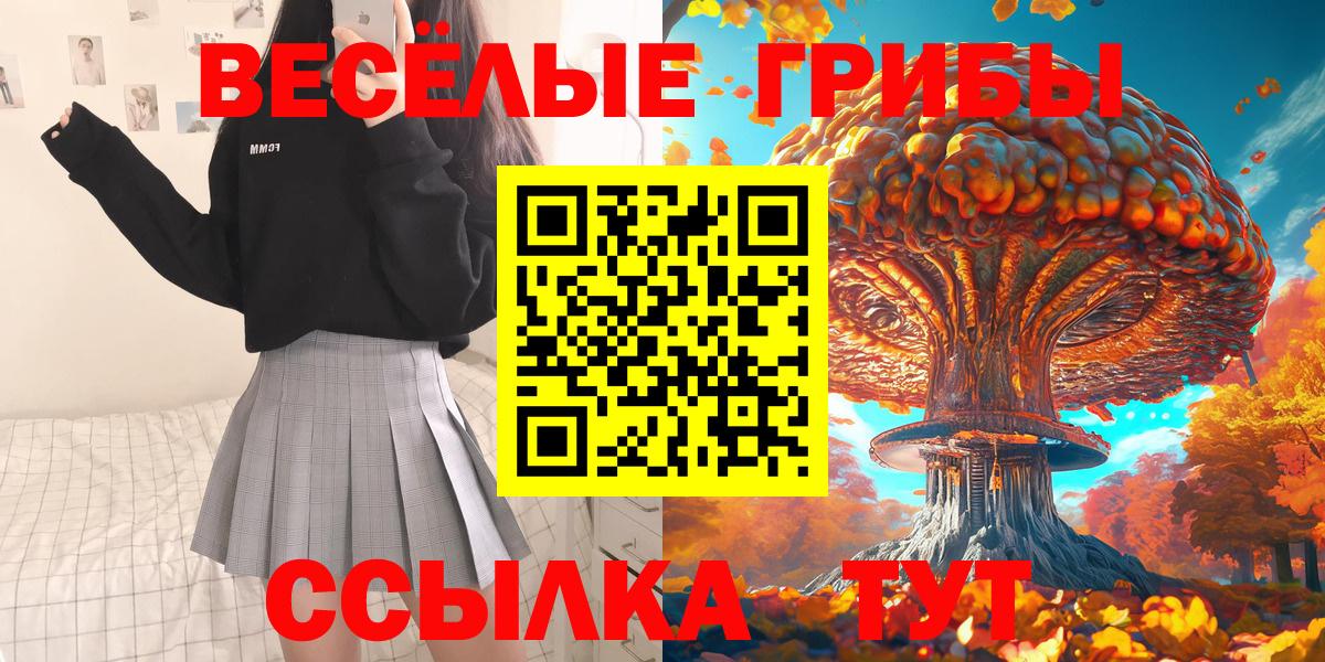 Псилоцибиновые грибы ЛСД Камышлов