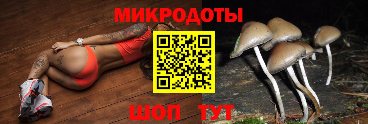 закладка  Галлюциногенные грибы Psilocybine cubensis  Галлюциногенные грибы MAGIC MUSHROOMS  Вход с VPN  Камышлов 